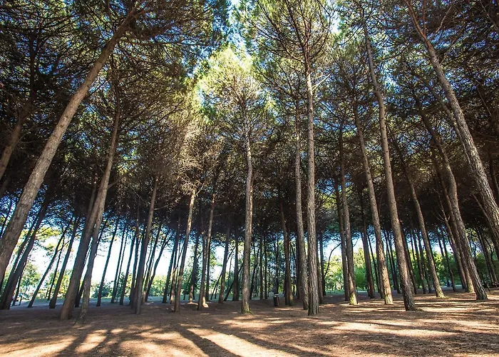 Garden Hotel Cervia